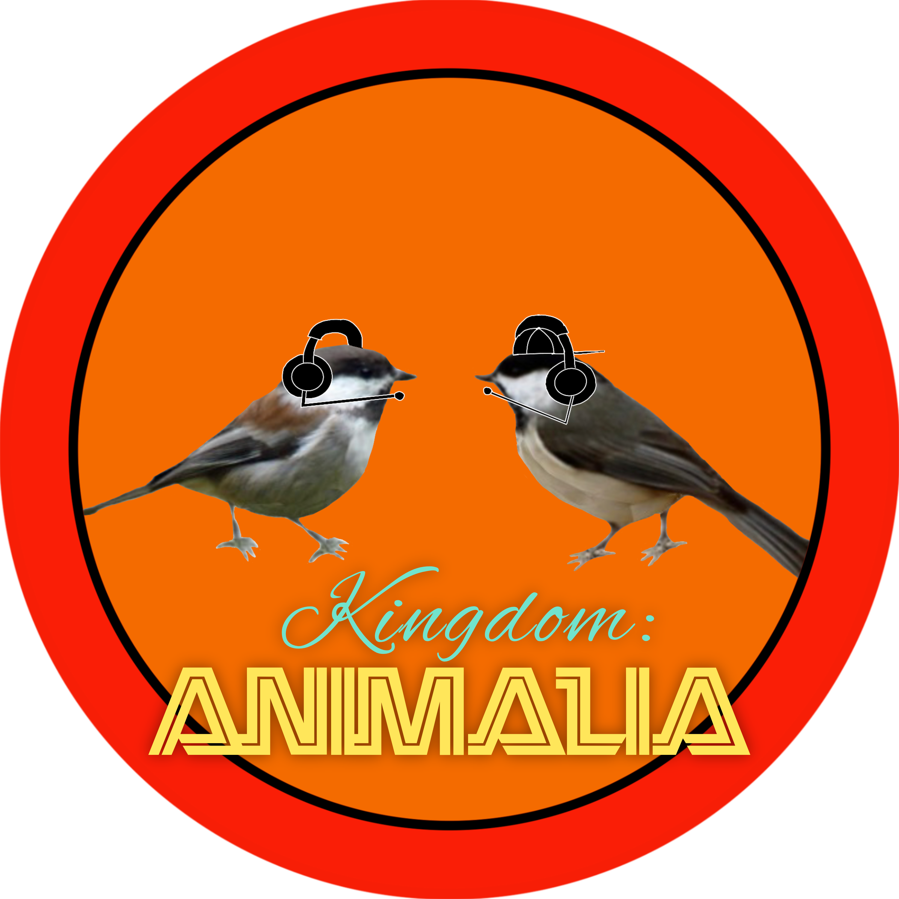 Podcasts Kingdom Animalia Podcasts